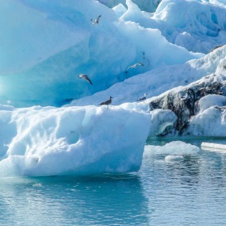 23 Islande iceberg menthe reglisse